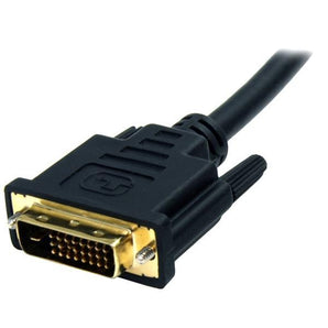 StarTech Cable  6 Feet Display Port to DVI Male/Male Retail (DP2DVI2MM6) - V&L Canada